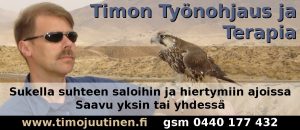 Timon Työnohjaus ja Terapia (TTT)